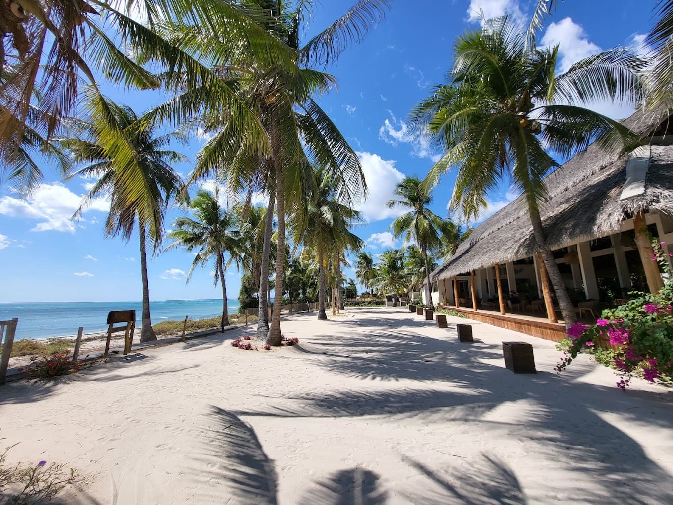 81 palms resort The beachfront view of 81 palms rote, with palm trees against a vibrant blue sky.
