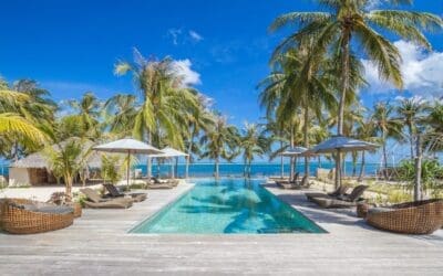 Seed Resort
