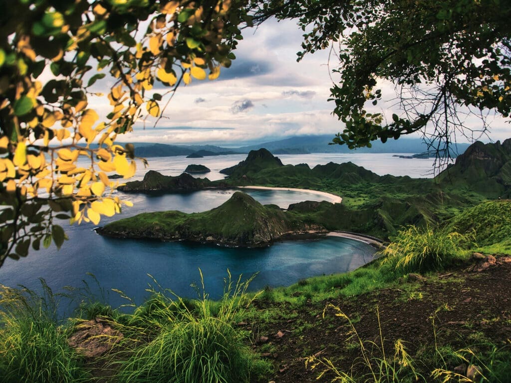 Scenic view of Padar Island in Komodo National Park, Indonesia, featuring lush green hills, turquoise bays, and sandy beaches under a cloudy sky, framed by tree branches with yellow leaves